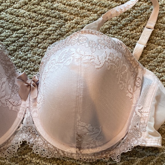 EUC DKNY Pale Pink Bra - Size 36DD - Picture 5 of 6